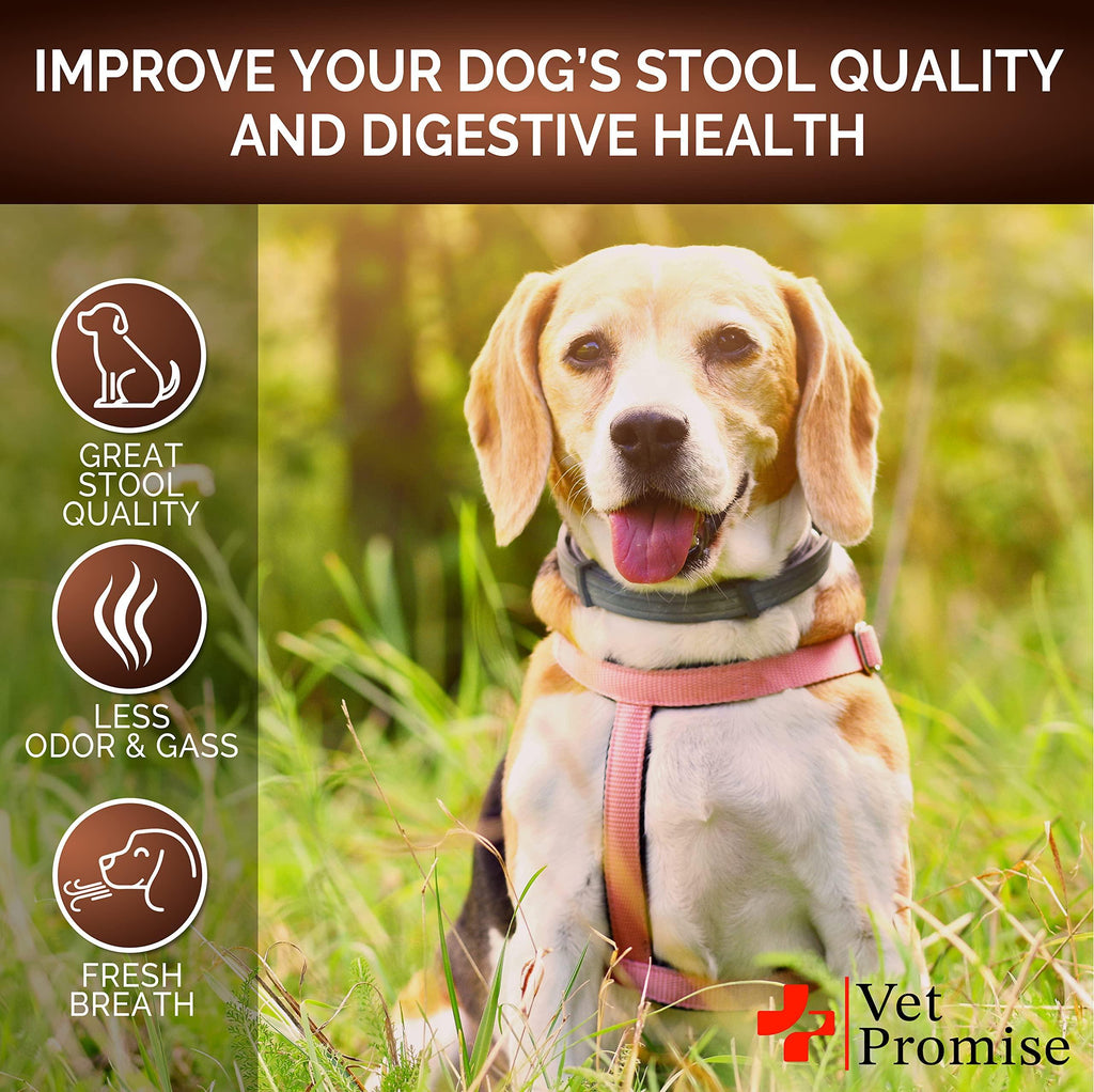 Dogs, Great Poop Probiotics for Dogs   Dog Stool Softener   Fiber for Dogs