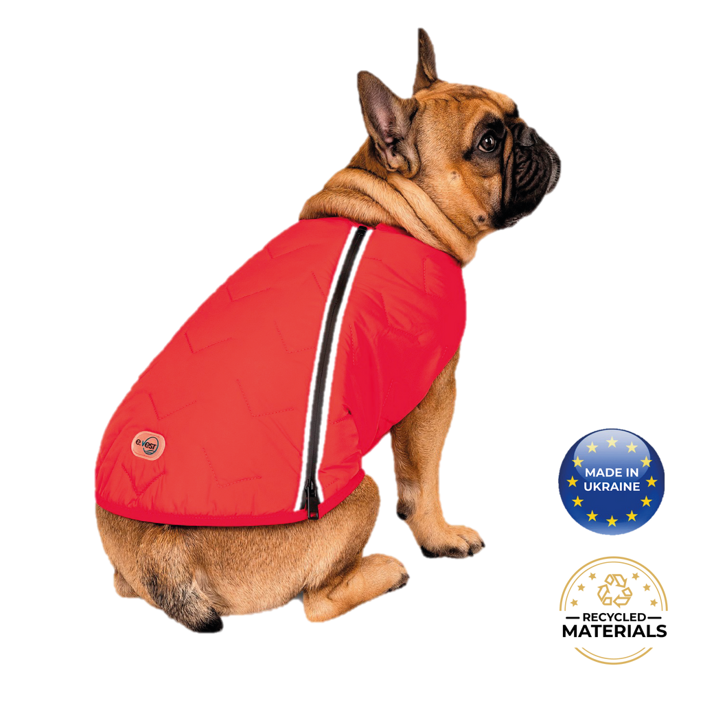 Dog, Sustainable Eco-Friendly Dog Jacket / Vest - Made in Ukraine