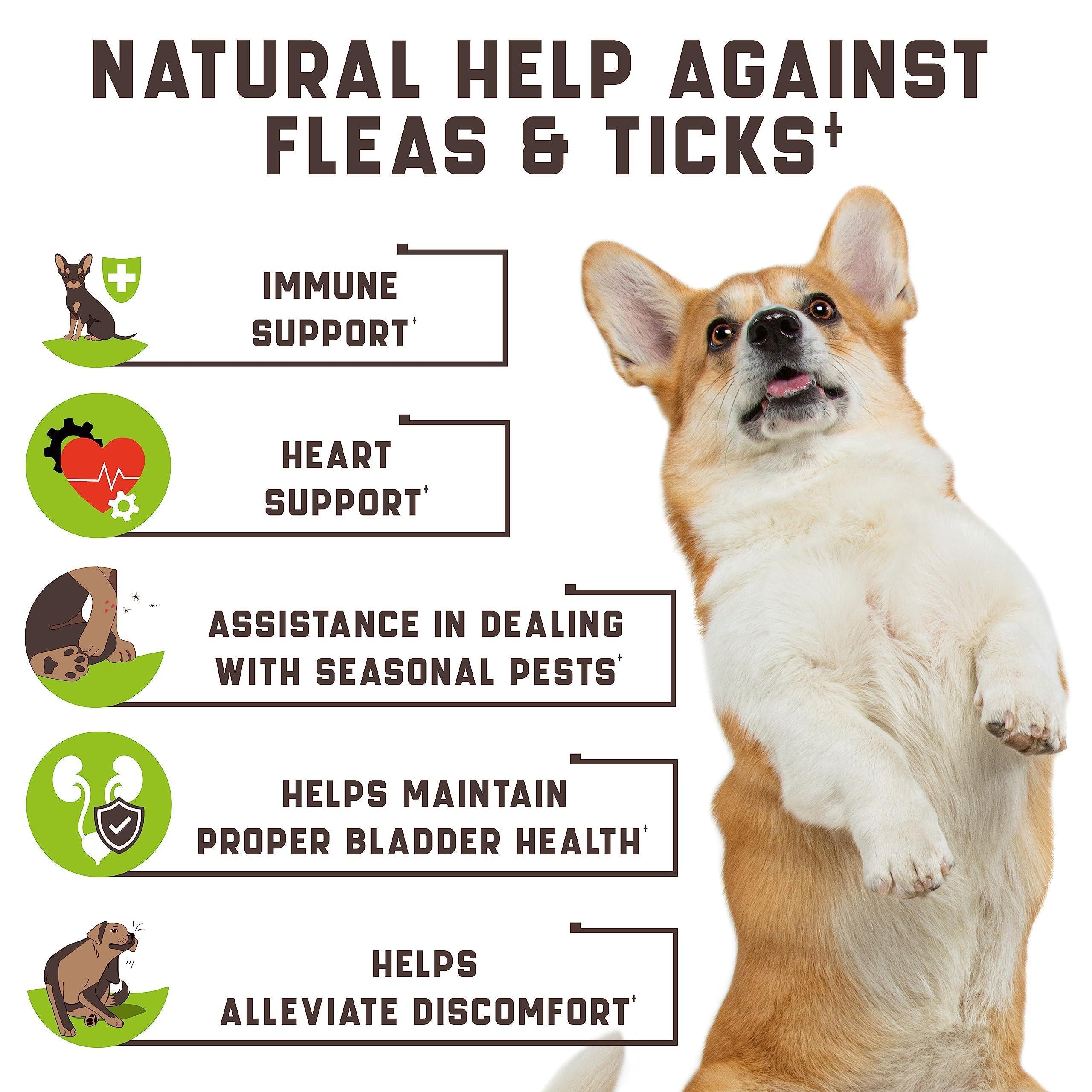 Dogs, Flea and Tick Prevention Chewable for Dogs No Collars Needed