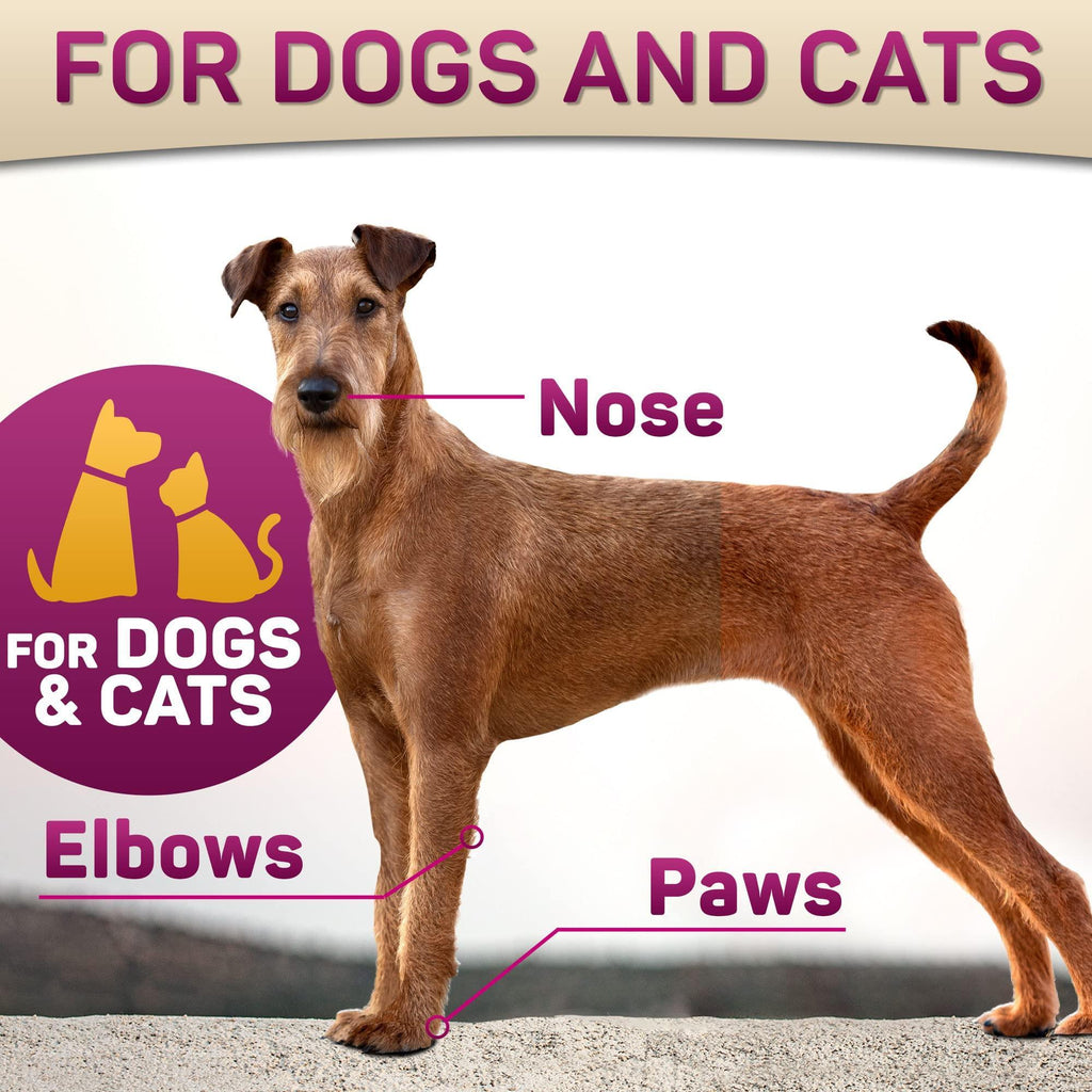 Dog, Natural Dog Paw Balm Dog Paw Protection for Hot Pavement Dog Paw Wax