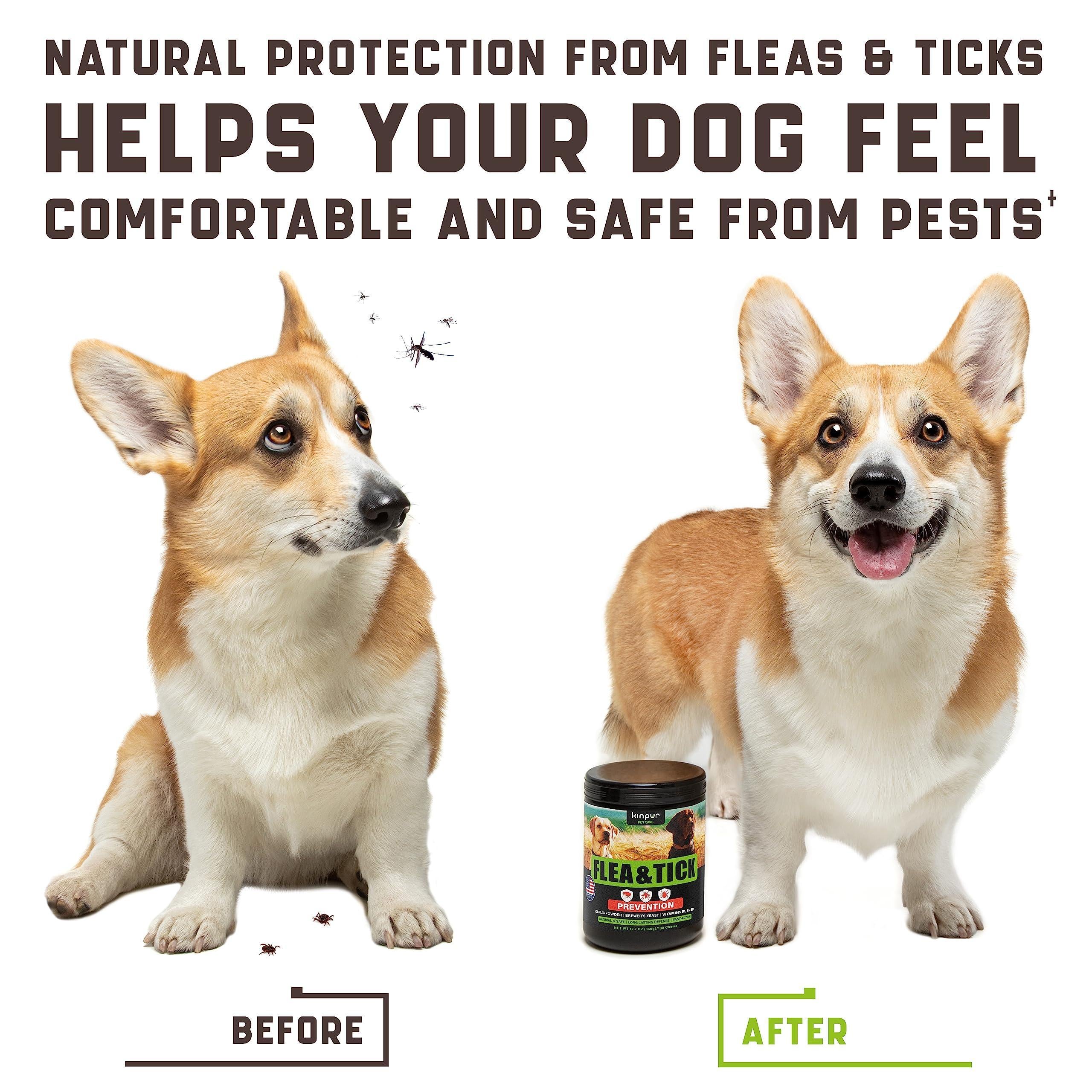 Dogs, Flea and Tick Prevention Chewable for Dogs No Collars Needed