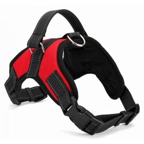 Dog, FAST SHIPPING Adjustable Dog Pet Harness