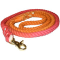 Dog Leash, Sunkissed