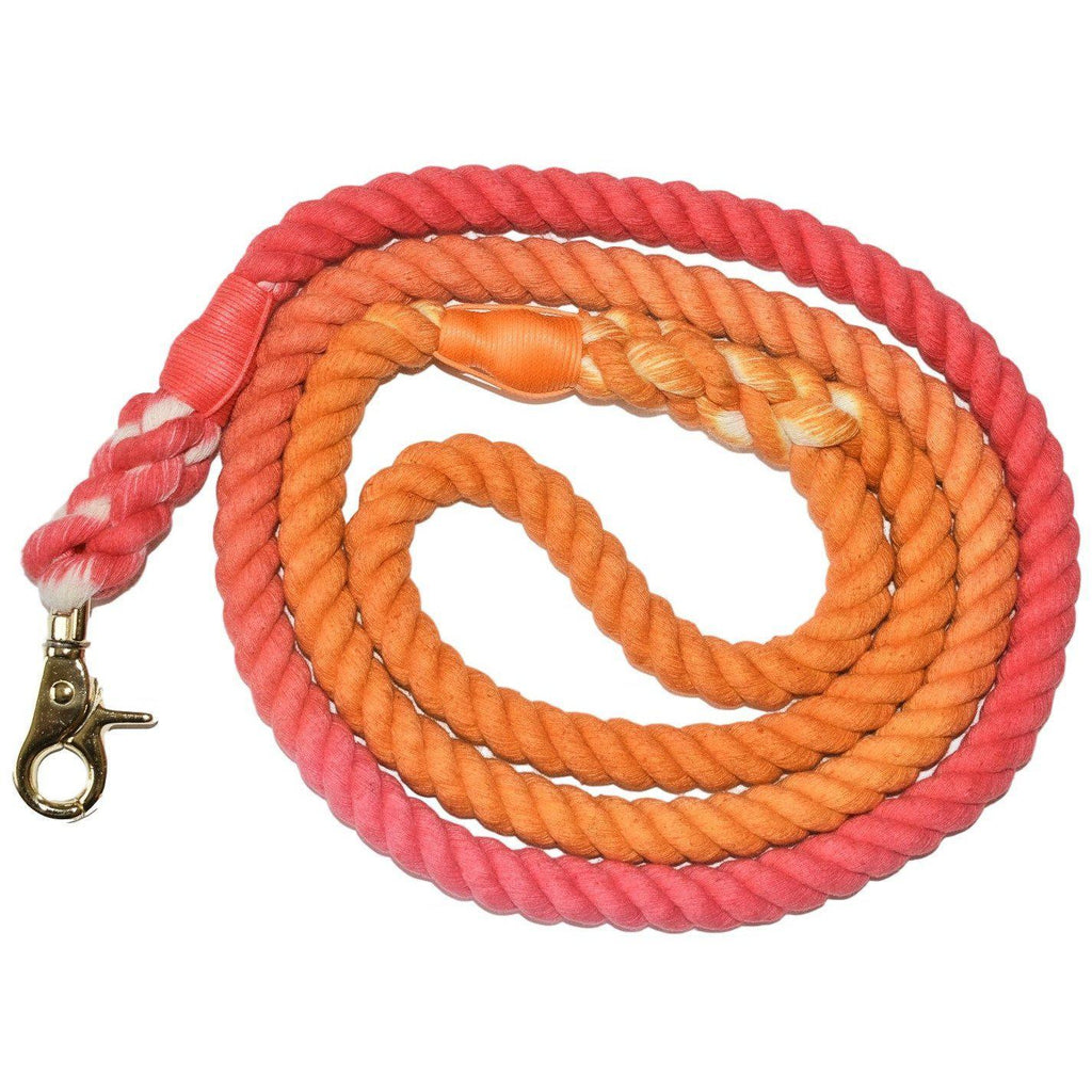 Dog Leash, Sunkissed