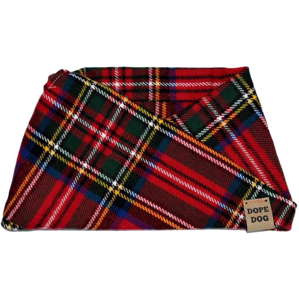 Dog Scarf, Apple Crumble