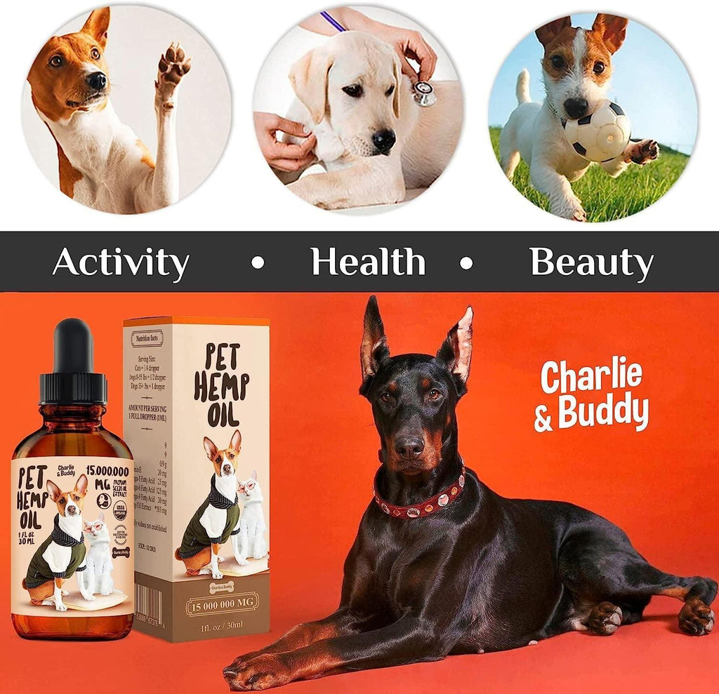 Dogs, Charlie Buddy Hemp Oil and Joint Supplement