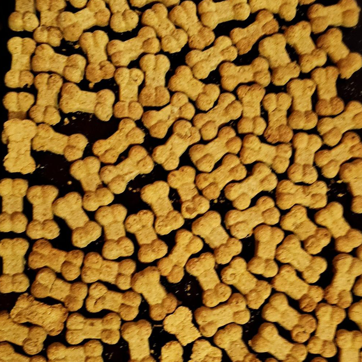 Dog, Roscoe & Stella’s Grain-Free Mini-Bone Dog Treats