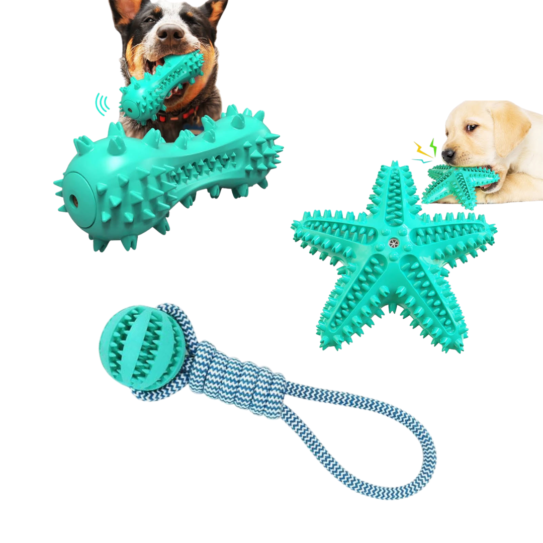 Dog Toys, Fast Shipping 3 Pack Squeaky Toothbrush & Cotton Rope Ball