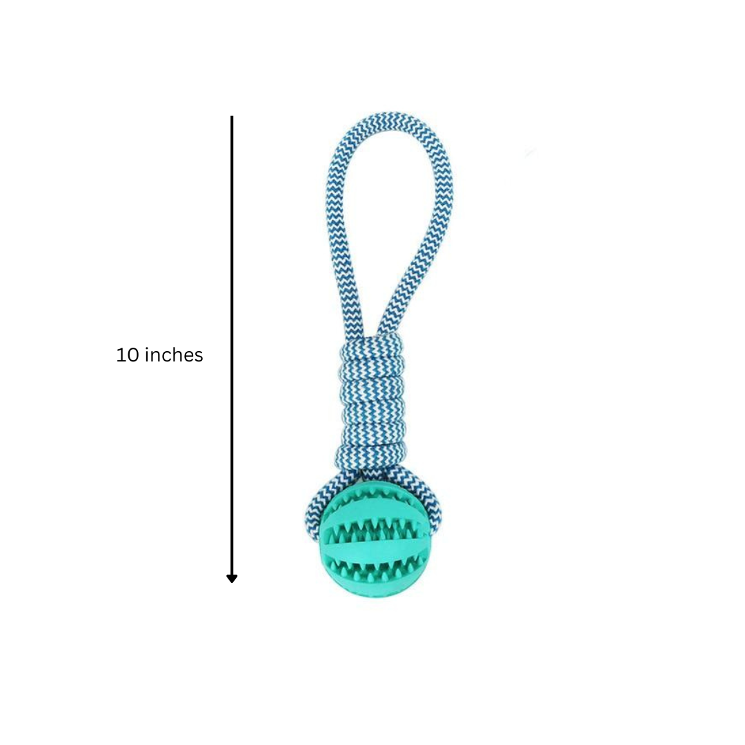 Dog Toys, Fast Shipping 3 Pack Squeaky Toothbrush & Cotton Rope Ball