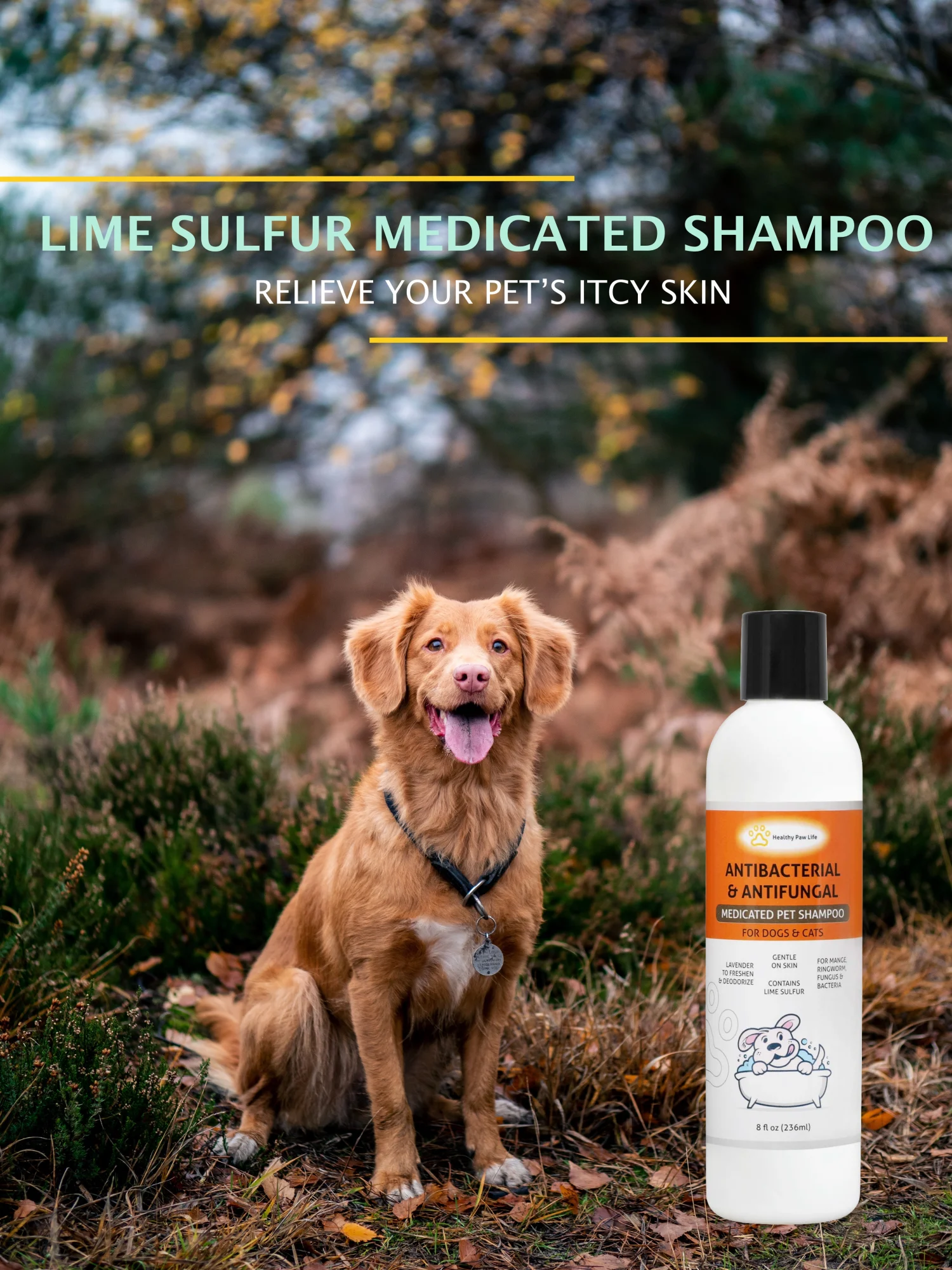 Pet Shampoo, Lime Sulfur Pet Shampoo Pet Care and Veterinary Solution Safe for Pet