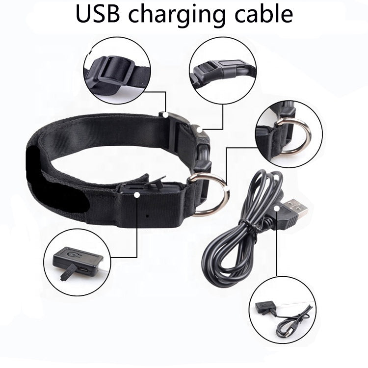 Collar for pets, USB RECHARGEABLE LED