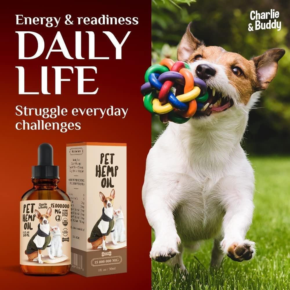 Dogs, Charlie Buddy Hemp Oil and Joint Supplement