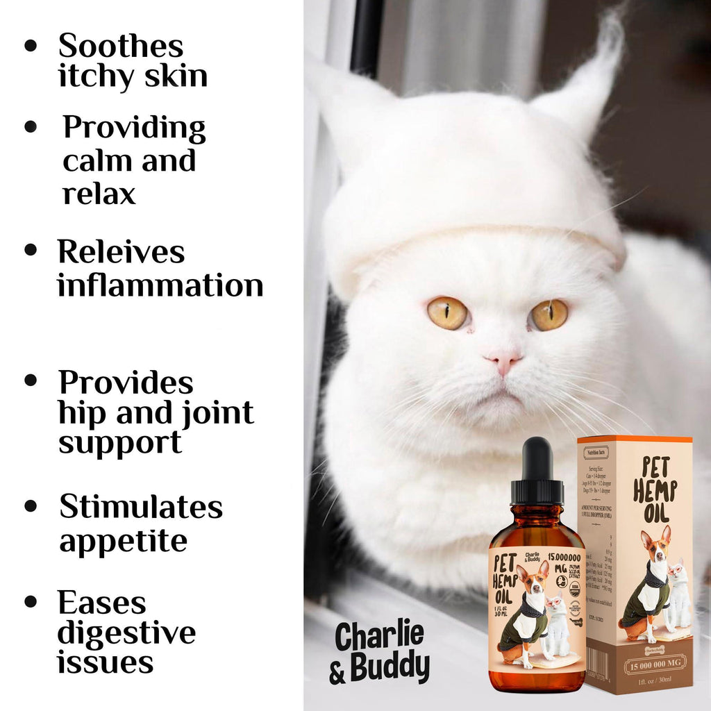 Dogs, Charlie Buddy Hemp Oil and Joint Supplement