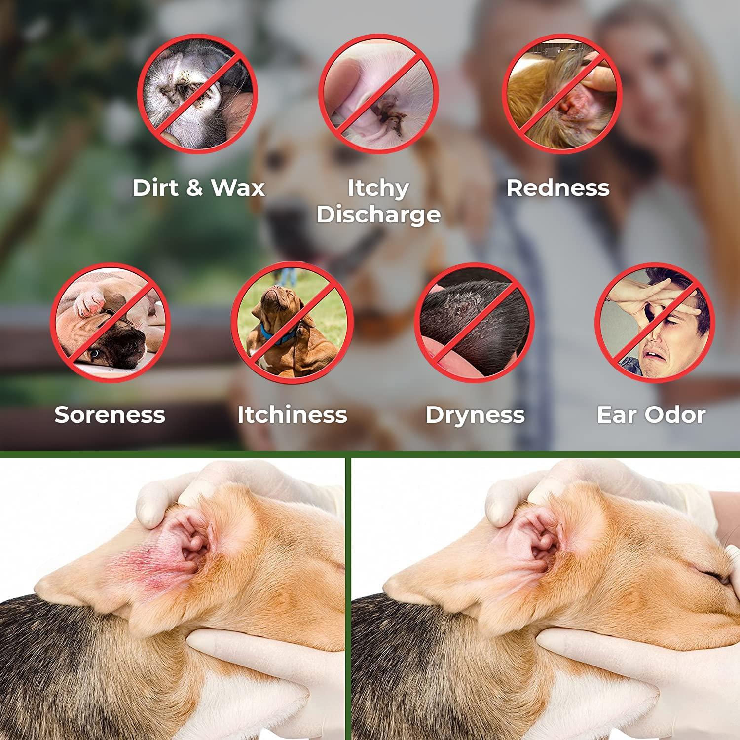 Dogs/Cats, Ear Cleaner Wipes by Arava   for Dogs Cats Puppies & Kittens   100